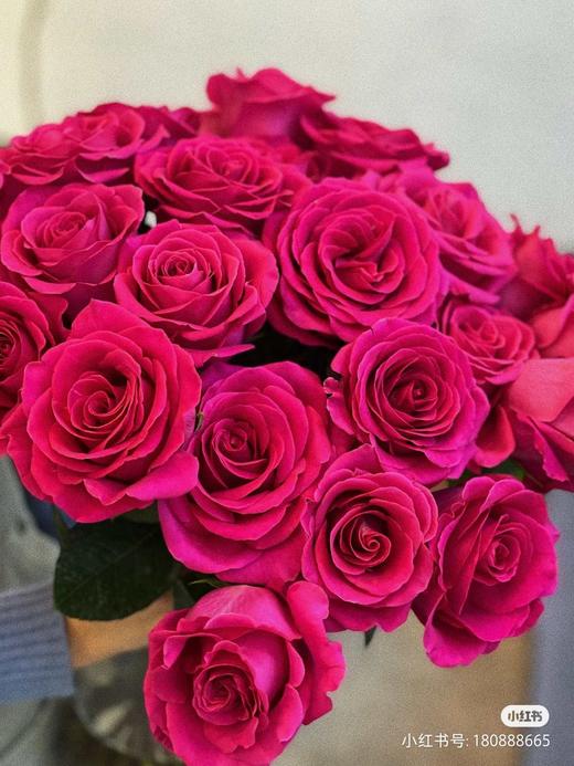 禾韵弗洛伊德 商品图1