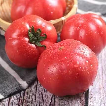 【LY】西红柿 450g±50g/袋 商品图1