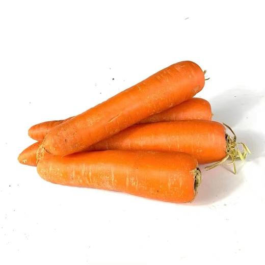 【LY】胡萝卜（中条)  450g±50g/袋 商品图2