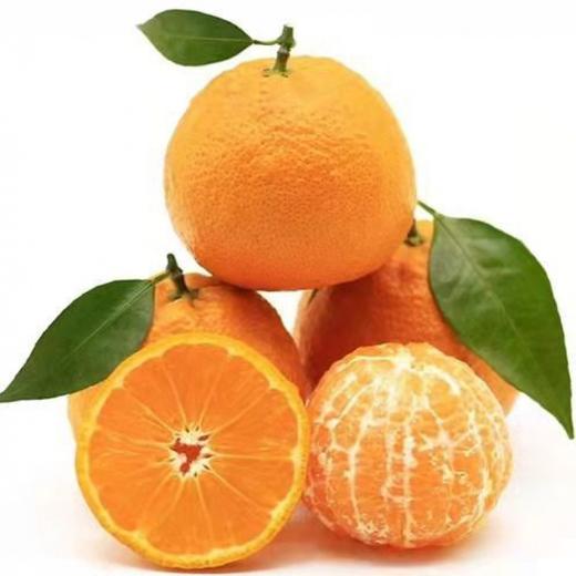 新鲜四川黄果柑 重约3斤【当天提货】 商品图0