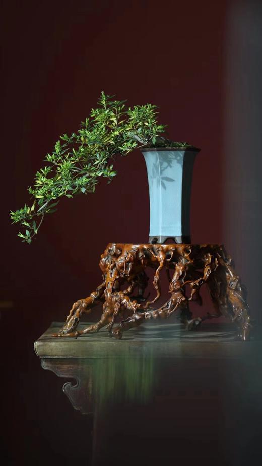 黄杨木仿古°瘤疤花几 商品图3