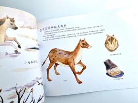  语文课本没有告诉你的事：小蝌蚪找妈妈时，它们吃什么？ 