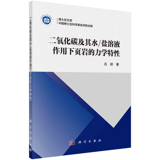 二氧化碳及其水/盐溶液作用下页岩的力学特性/吕桥 商品图0