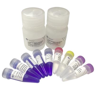 One Step Mouse Genotyping Kit 商品图0