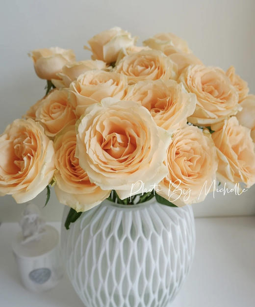 【拍市玫瑰】香槟玫（蜜桃雪山）10枝/扎   约60公分 商品图2