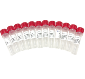 VAHTS DNA Adapters Set2 for Illumina