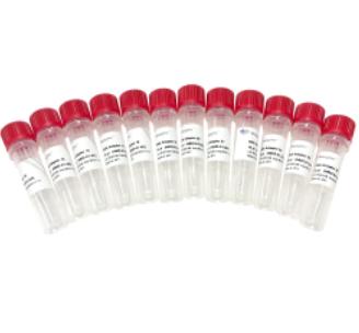 VAHTS DNA Adapters Set2 for Illumina 商品图0