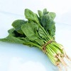 【LY】菠菜 500g±20g/袋 商品缩略图1