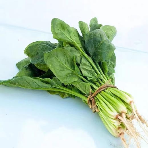 【LY】菠菜 500g±20g/袋 商品图1