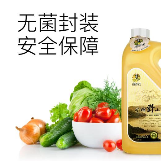 咸宁 通山唐老农山茶油5L礼盒装 商品图3