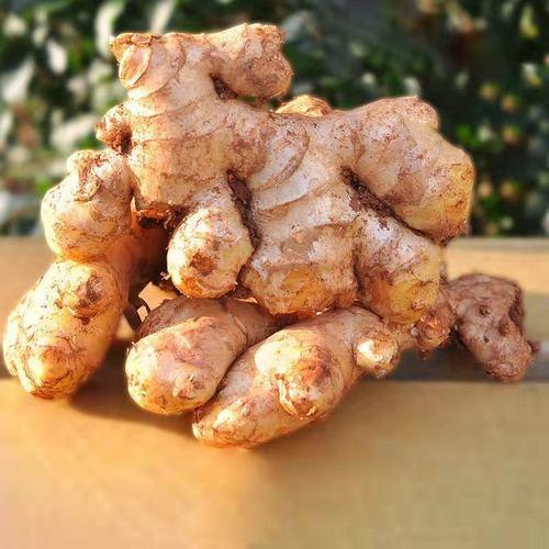 【LY】本地带泥小黄姜 250g±30g/袋 商品图2