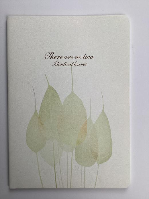 道林16KB5-46页软抄本180*252 商品图5