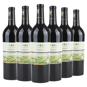 长城金钻系列优选级解百纳干红葡萄酒