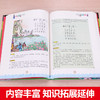 【正版】 唐诗三百首全集注音版彩图儿童成长书籍阅读书目故事书籍儿童幼儿早教书6-7-8-9-12岁幼儿童课外书带拼音科普读物少儿 商品缩略图2