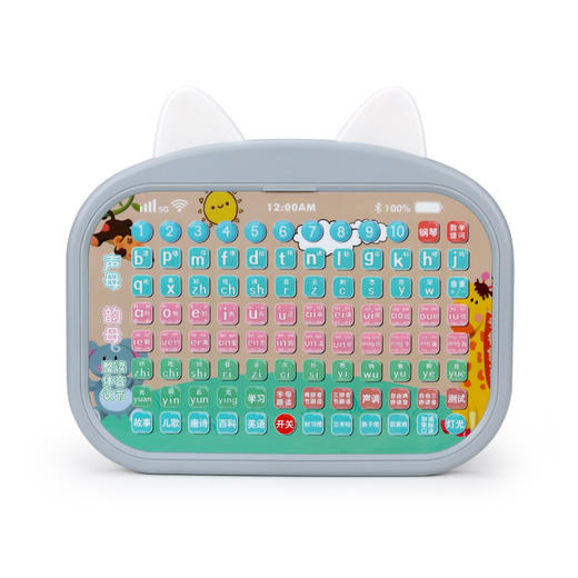 抖音爆款 一年级汉语拼音拼读训练神器儿童幼小衔接有声点读拼音学习早教机 商品图4