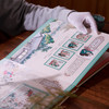 《红楼梦》 邮票典藏大全   系列邮票1-5全收录 65枚邮票  含套票、小型张、小版张3种类型 商品缩略图3