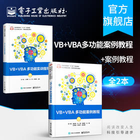 VB+VBA多功能案例教程+VB+VBA多功能实训指导 VB程序设计配套实训教材全国计算机等级考试培训教学参考书