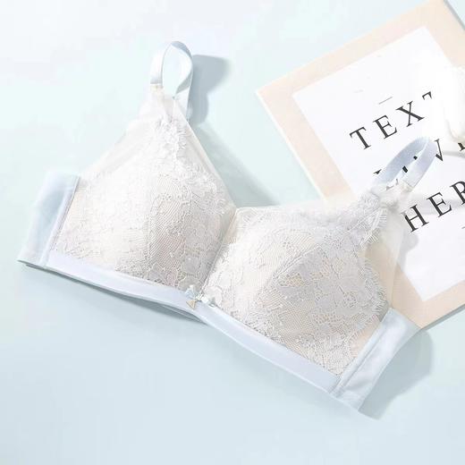 列维斯蕾丝 安莉芳无钢圈上薄下厚款内衣女聚拢遮副乳文胸EB00495 商品图3