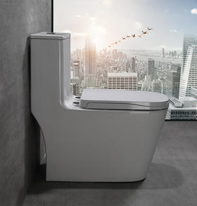 SQ：0478一体亲子双孔超漩式马桶（脲醛盖板）