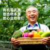 有机蔬菜宅配套餐 商品缩略图3