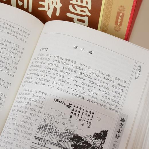 【优惠套装】聊斋志异 包邮全4册 带注释插图版 原文+白话注释全集中国古典/志怪神魔小说 鬼怪小说 中国古代文学图书 带插盒 正版书籍 商品图4