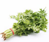 【LY】香菜 100g±10g/袋 商品缩略图0