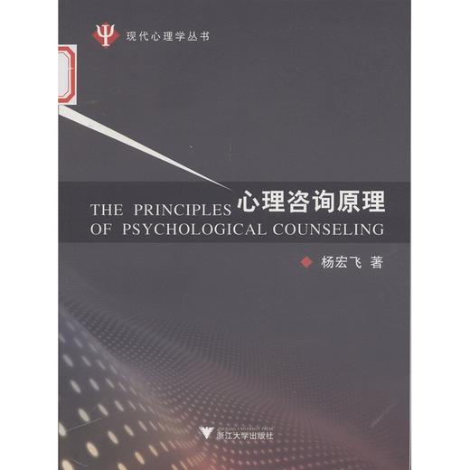 心理咨询原理/现代心理学丛书/杨宏飞/浙江大学出版社 商品图0