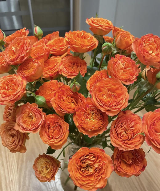 昆明玫瑰橙色芭比10支扎a级