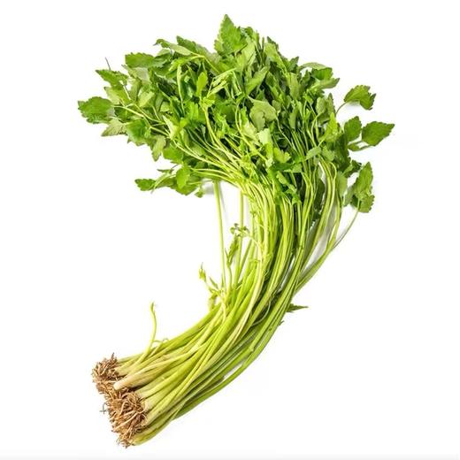 【LY】芹菜 150g±20g/袋 商品图1