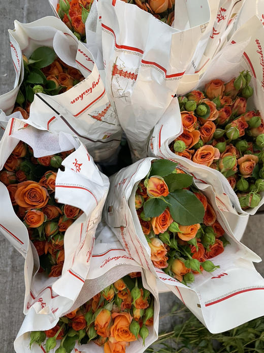 【昆明玫瑰】橙色芭比 10支/扎 A级 商品图9