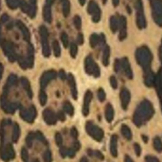 DG 杜嘉班纳 豹纹 ipad 保护包 BV0074 A9T32 商品图2