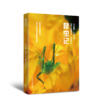 昆虫记(青少年科学素养文库新版) 商品缩略图0