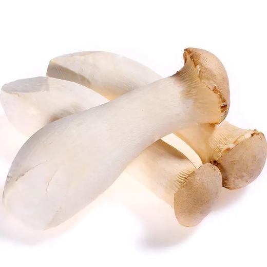 【LY】杏鲍菇 约200g/袋 商品图0