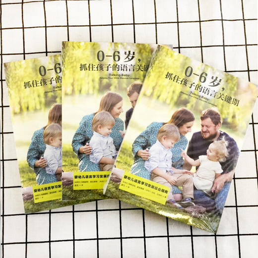 【正版】抓住孩子的语言关键期 0-6岁 婴幼儿语言学习发展综合指南书亲子家教方法书 辅导百科育儿家庭教育书 商品图2