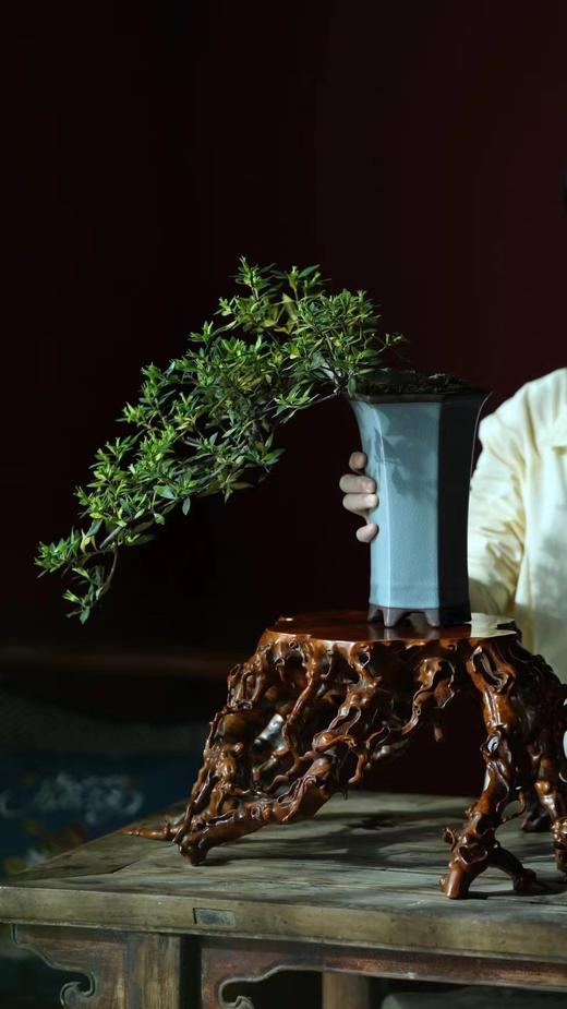 黄杨木仿古°瘤疤花几 商品图4