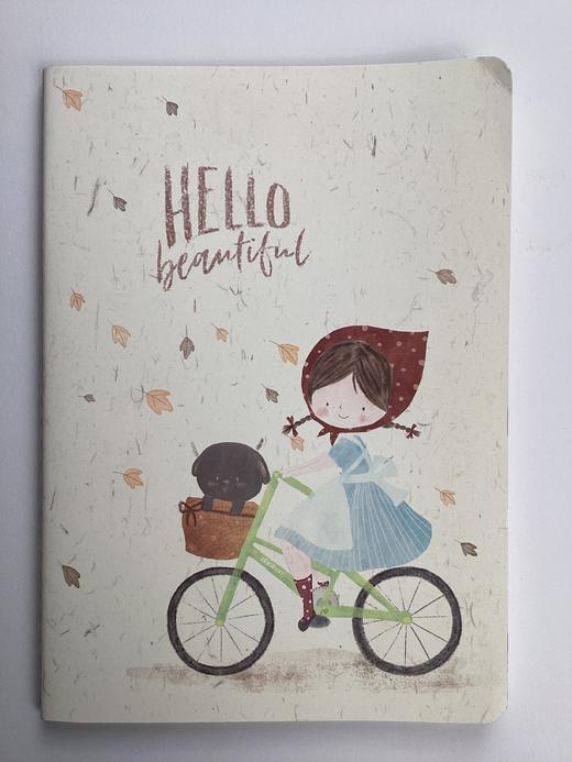 道林16KB5-46页软抄本180*252 商品图0