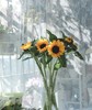 【基地直供】中型--向日葵  5枝/扎 商品缩略图0