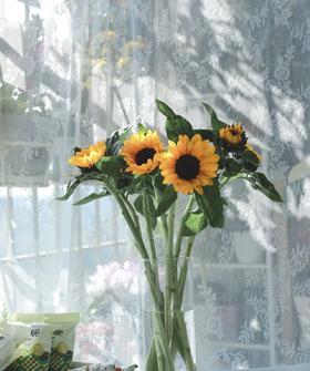 【基地直供】中型--向日葵  5枝/扎