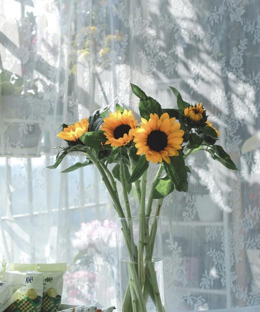 【基地直供】中型--向日葵  5枝/扎 商品图0