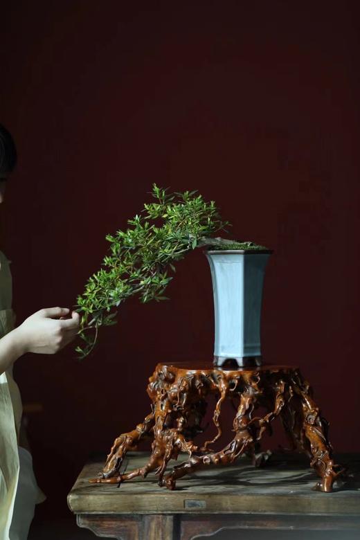 黄杨木仿古°瘤疤花几 商品图5