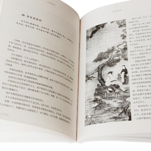 【优惠套装】全4册 豪放词婉约词纳兰词人间词话 王国维纳兰词全集全解全鉴赏读 中国古诗词大全集中国诗词大会人一生要读的古典诗词 商品图2