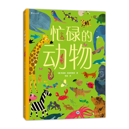 忙碌的小镇/交通/动物/恐龙（4册套装 ）浪花朵朵童书 商品图4