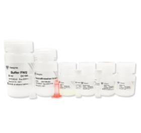 FastPure FFPE DNA Isolation Kit