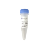 ExFect Transfection Reagent 商品缩略图0