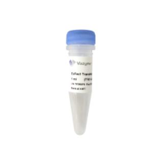 ExFect Transfection Reagent 商品图0