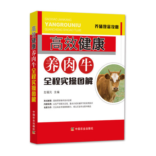 高效健康养肉牛全程实操图解 商品图0