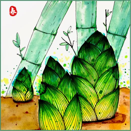 5-8岁《雨后春笋》春天/笋子【自动发货：下单后，点击手机短信中收到的链接，即可获取文件下载的链接；如有任何问题，可添加客服微信hm33268获得帮助】 商品图0