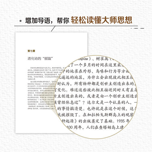 比格尔号航海日记(青少年科学素养文库新版) 商品图4