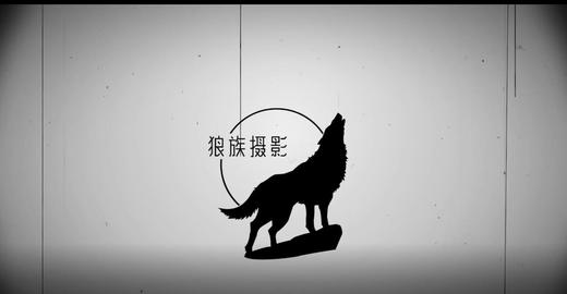 狼族摄影 60节公开课（直播线下活动） 商品图0