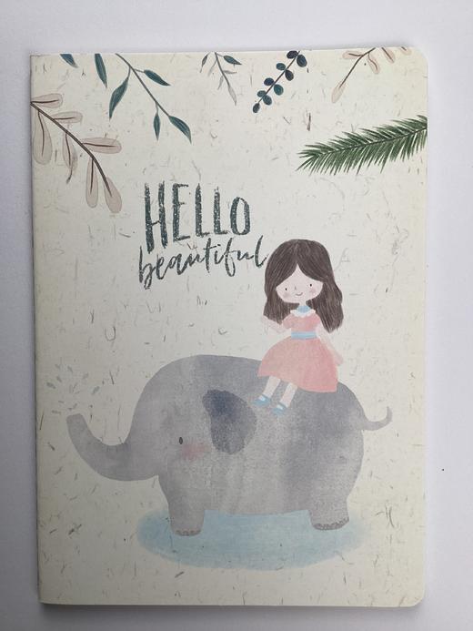 道林16KB5-46页软抄本180*252 商品图1